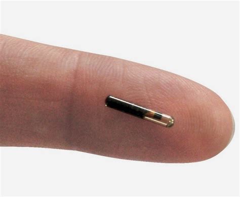 cost of rfid chip in humans|Human Microchipping: An Unbiased Look at the Pros .